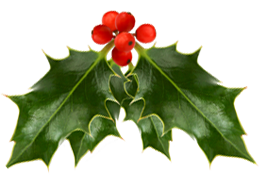 A sprig of holly.